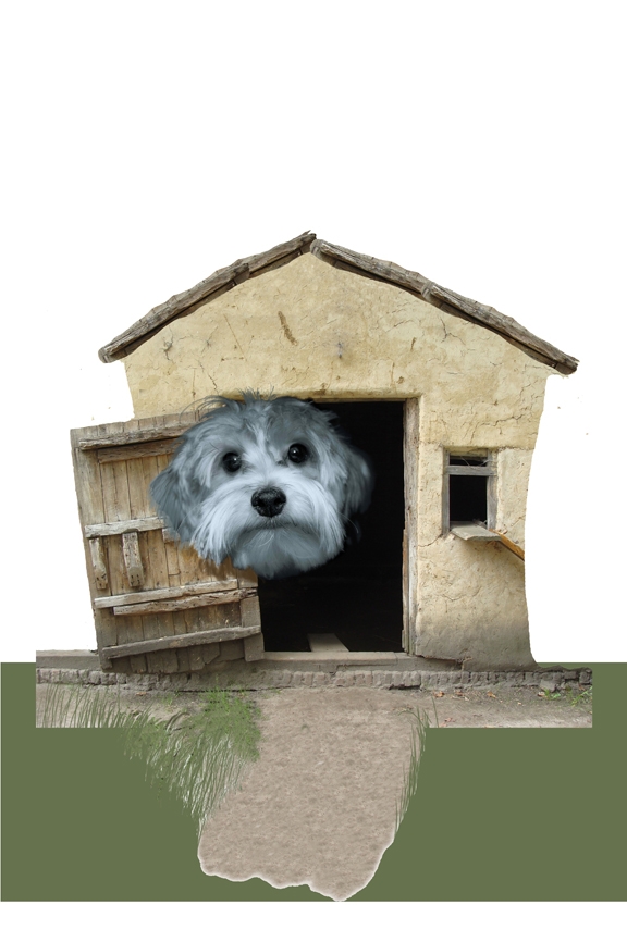 Creation of My House: Step 6